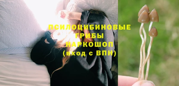 соль ск Лабытнанги